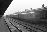 DMU