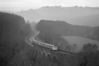 DMU