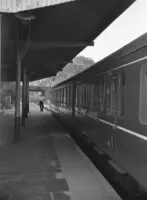 DMU
