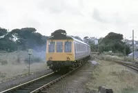 DMU