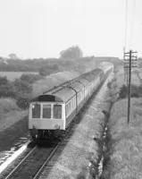  DMU