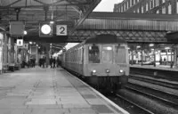 DMU