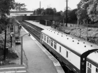  DMU