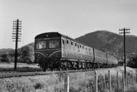 DMU image