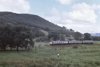 Milk Branches Rail Tourimage 32185