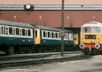 DMU