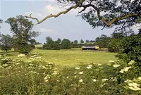 Class 122 DMU at Hatton