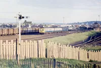  DMU