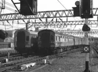 DMU