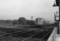 blue-pullman DMU