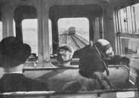 DMU image