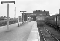  DMU