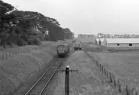  DMU