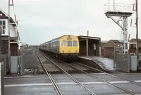  DMU