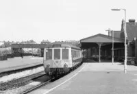 DMU