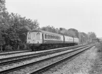 DMU